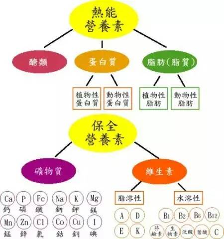 人體的建築師情境圖片