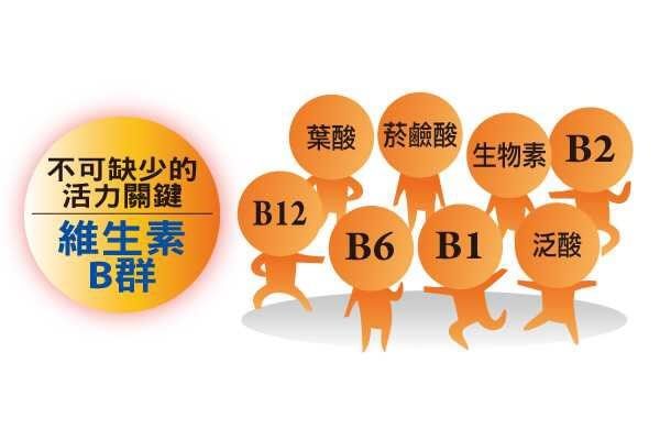 不可缺乏的B族情境圖片