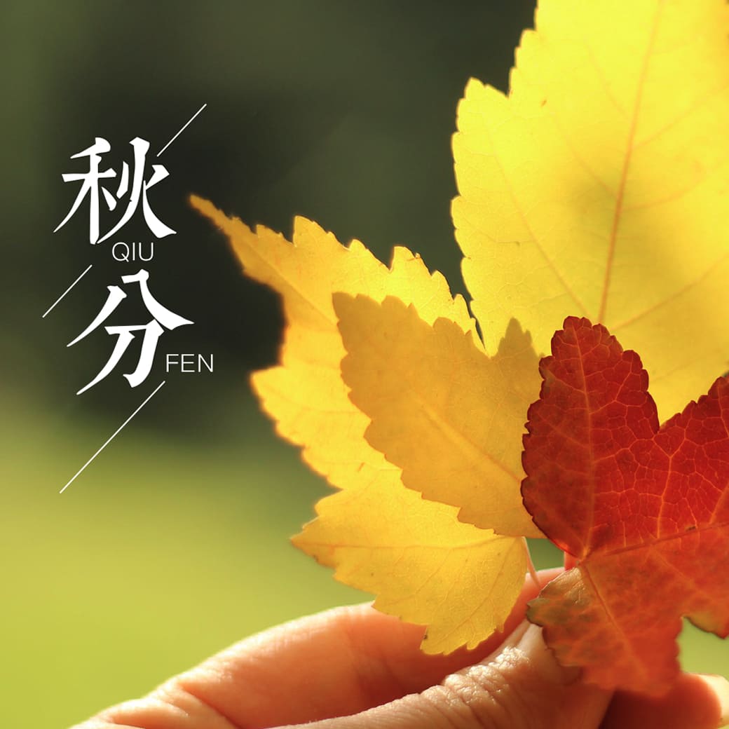 秋分節氣-最新公益講座活動訊息-社團法人 中華國際健康管理協會
