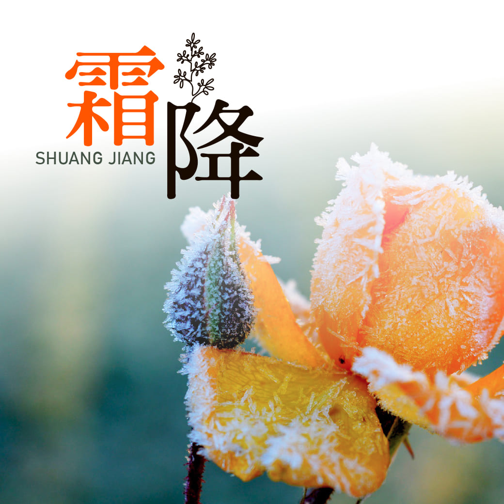 霜降節氣-最新公益講座活動訊息-社團法人中華國際健康管理協會